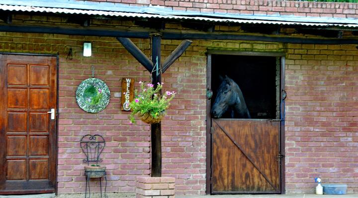 Owls Loft Guest House