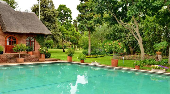 Owls Loft Guest House