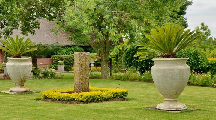 Owls Loft Guest House