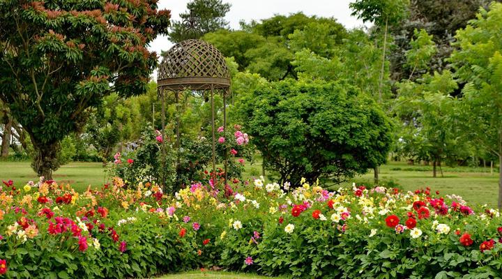 Owls Loft Guest House