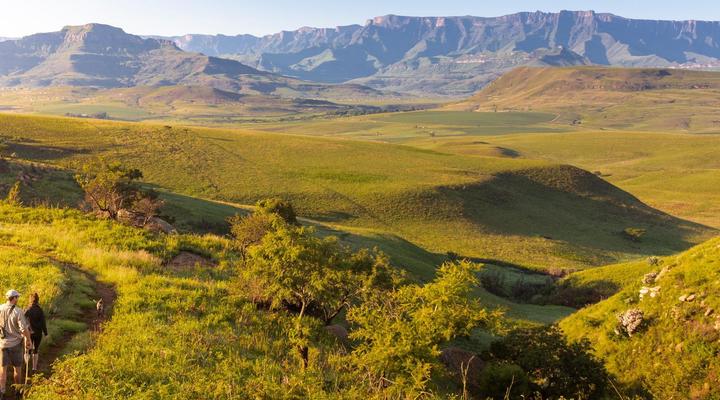 The Berghouse and Cottages