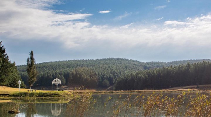 Calderwood Hall Guest House