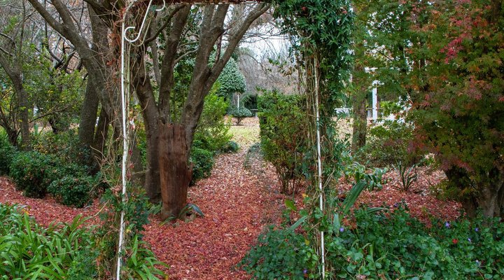 Calderwood Hall Guest House