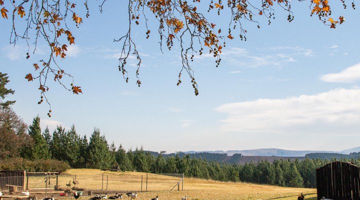 Calderwood Hall Guest House