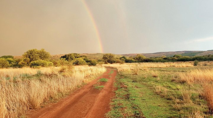 Mamagalie Mountain Lodge