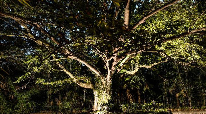 WintertonCountryLodge