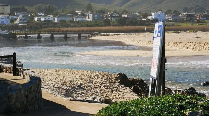 The Wild Fig Guesthouse