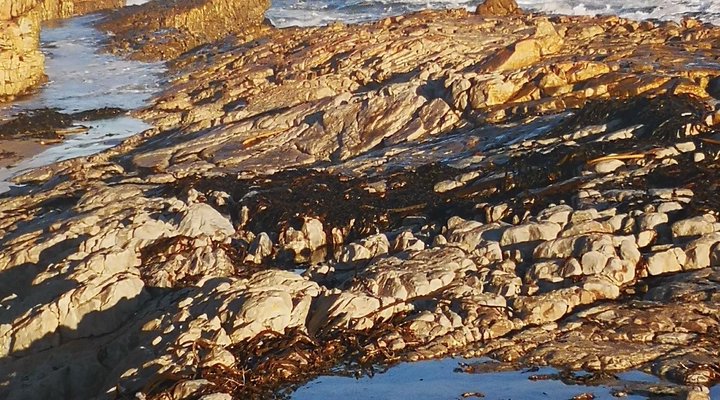 The Wild Fig Guesthouse