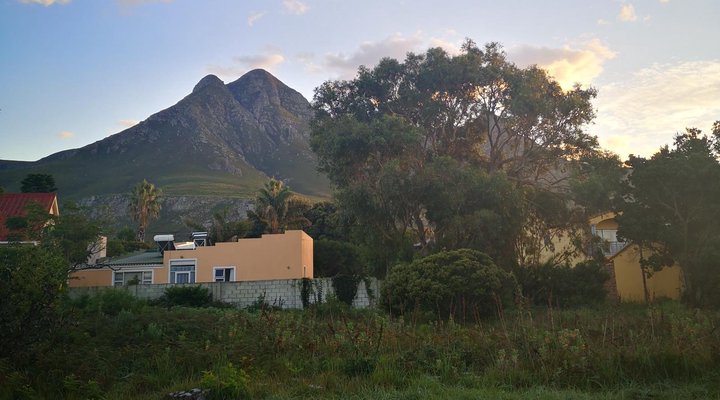 The Wild Fig Guesthouse