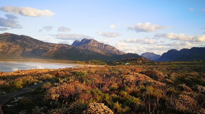 The Wild Fig Guesthouse