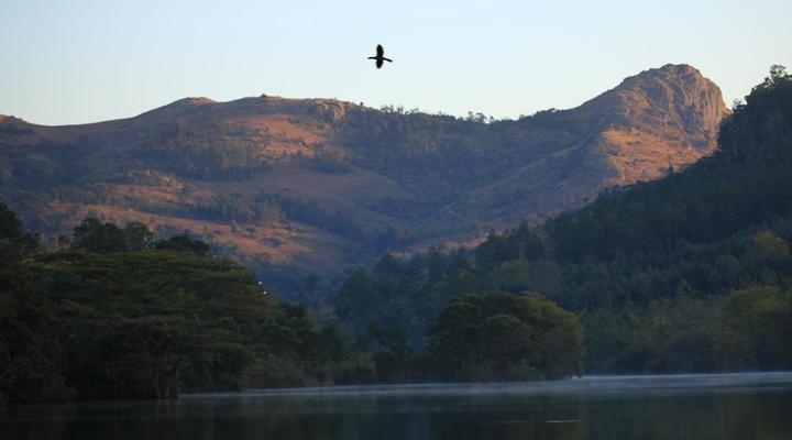 Mlilwane Wildlife Sanctuary