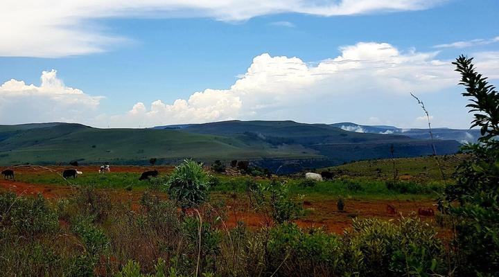 Rocky Drift Private Nature Reserve
