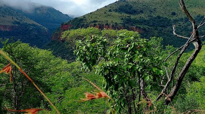 Rocky Drift Private Nature Reserve