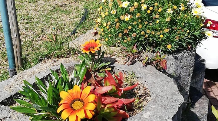 Knysna B&B King of Kings