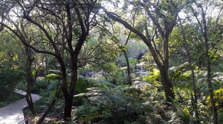 Summerfields Rose Retreat and Spa