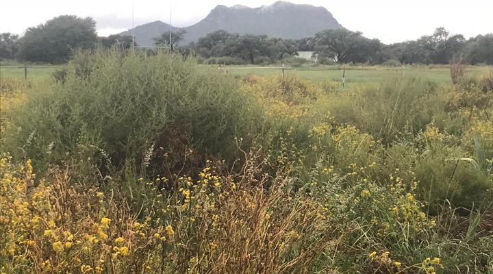 Out of Nature Country Lodge