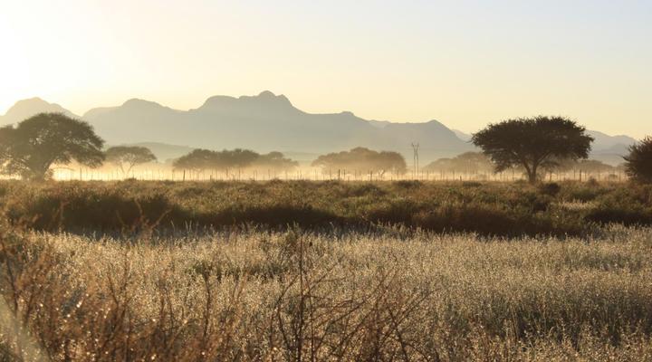 Out of Nature Country Lodge