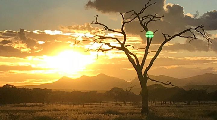 Out of Nature Country Lodge