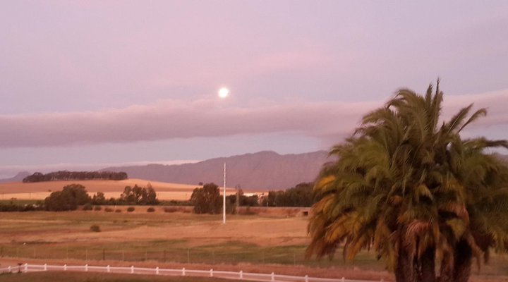 Klein Eikeboom Cottages