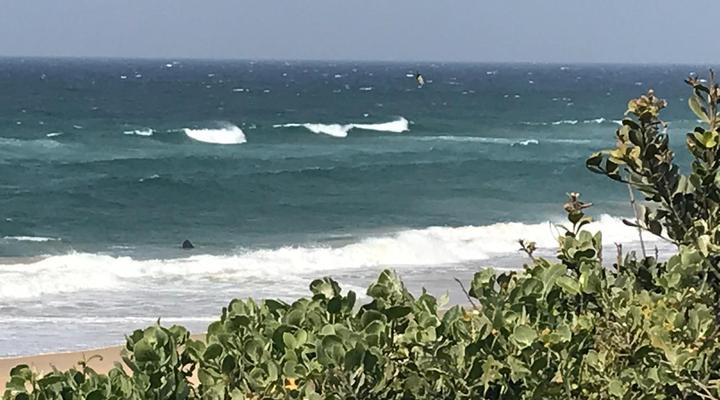 Beachbreak Holiday Letting