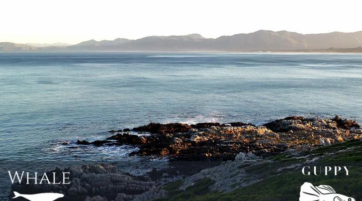 Whale Huys Oceanfront Eco Villa