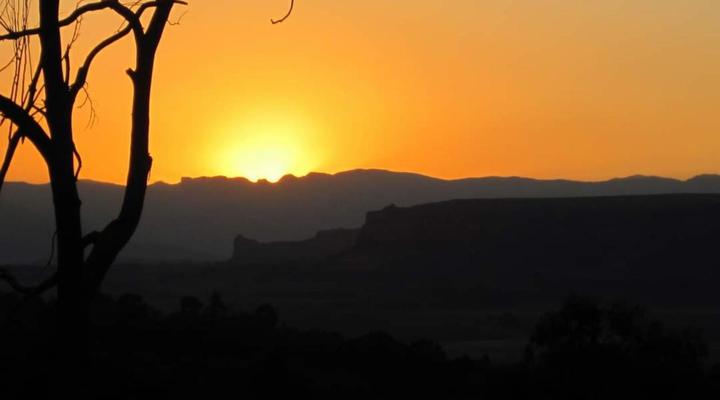 The Fat Mulberry Guest Farm