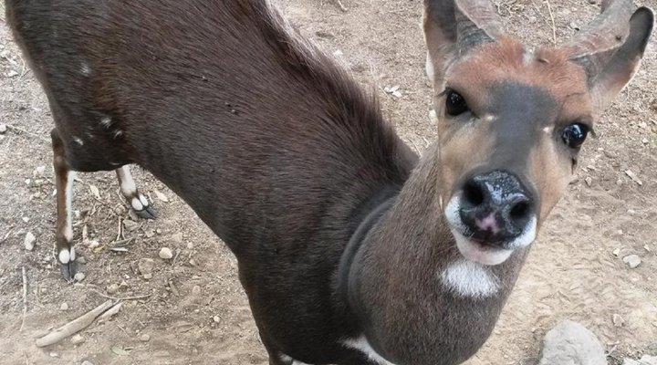 Pabala Private Nature Reserve