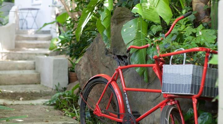 Little Forest Guesthouse, Parkhurst