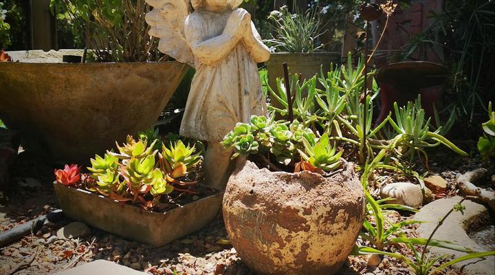 Frieden-Hof Guest Accommodation