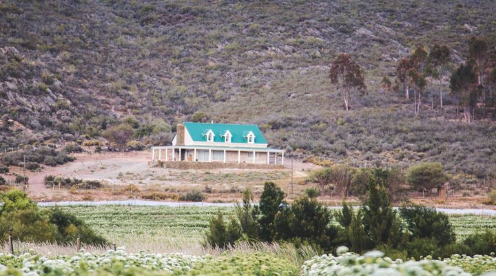 The Blue Cow Barn - Boutique Farm Accommodation 