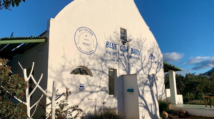 The Blue Cow Barn - Boutique Farm Accommodation 