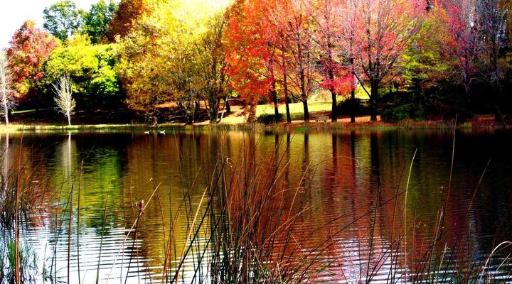 Sani Window Bed & Breakfast/Self Catering