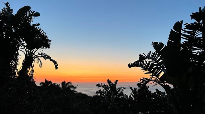 Albatross Guest House