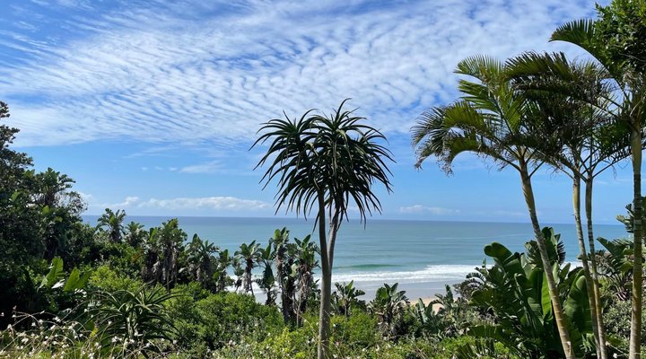 Albatross Guest House