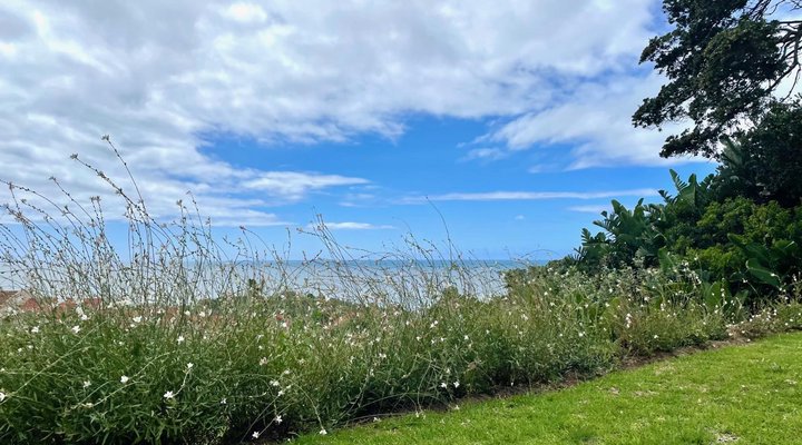 Albatross Guest House