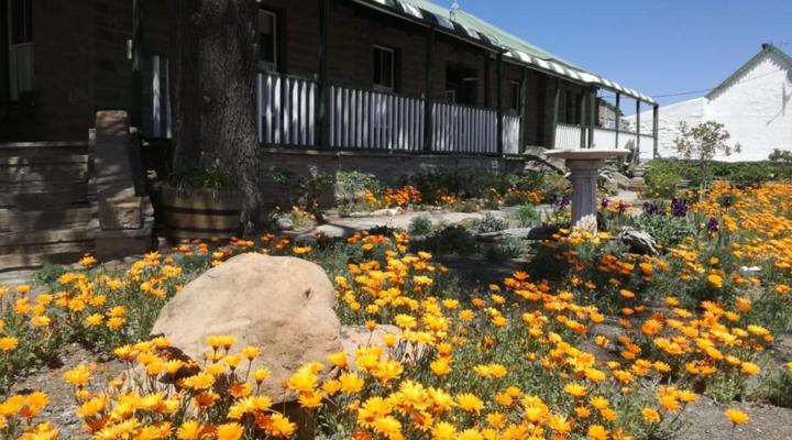 Skitterland Guesthouse