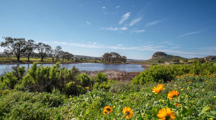 Fork West Holiday Apartments