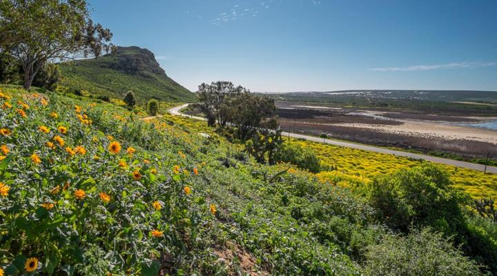 Fork West Holiday Apartments