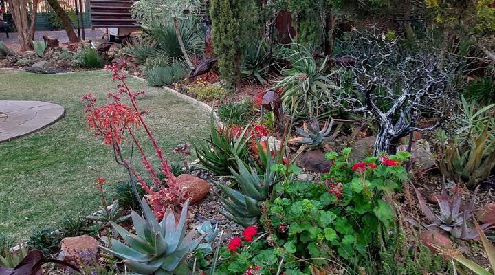 Rustic Forest Guest House