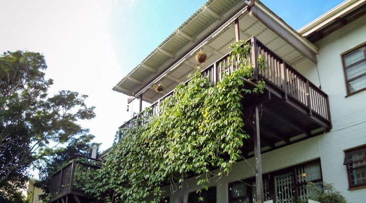 Laughing Gecko Lodge