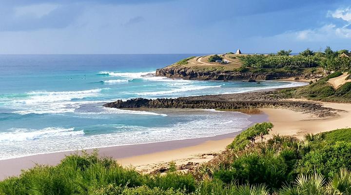 Turtle Cove Lodge and Shala