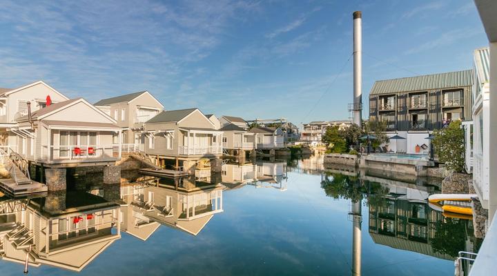 Avocet Nest on Thesen Island