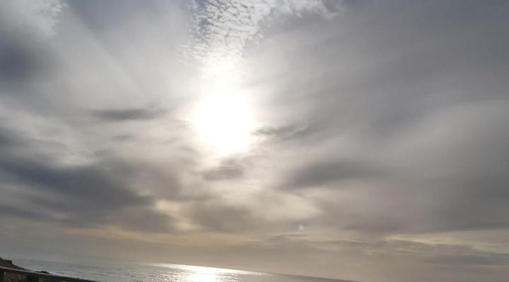 The Sparrow’s Nest Beach Cottage