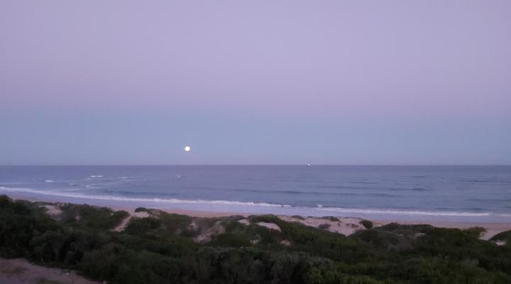 The Sparrow’s Nest Beach Cottage