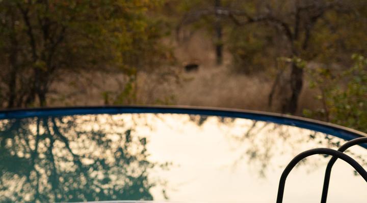 Simbavati Trail Camps