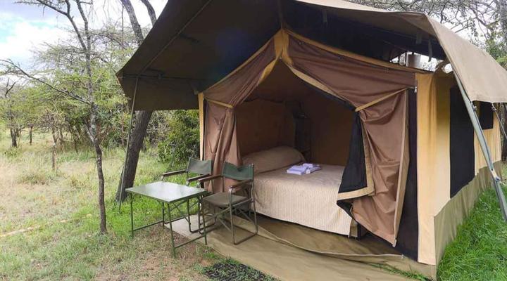 Porini Bush Camp