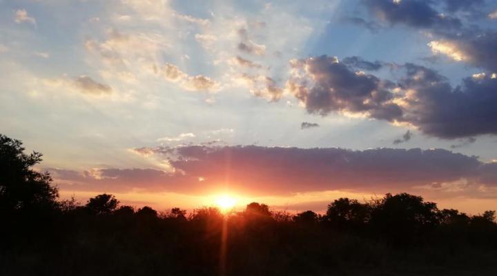 Sondela Nature Reserve & Spa Makhato Lodges