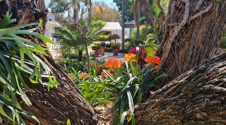 Lindekroon Guest House