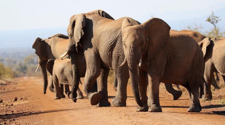 Parsons Hilltop Safari Camp