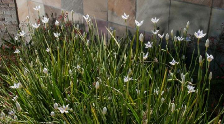 Blaauwheim Guest House